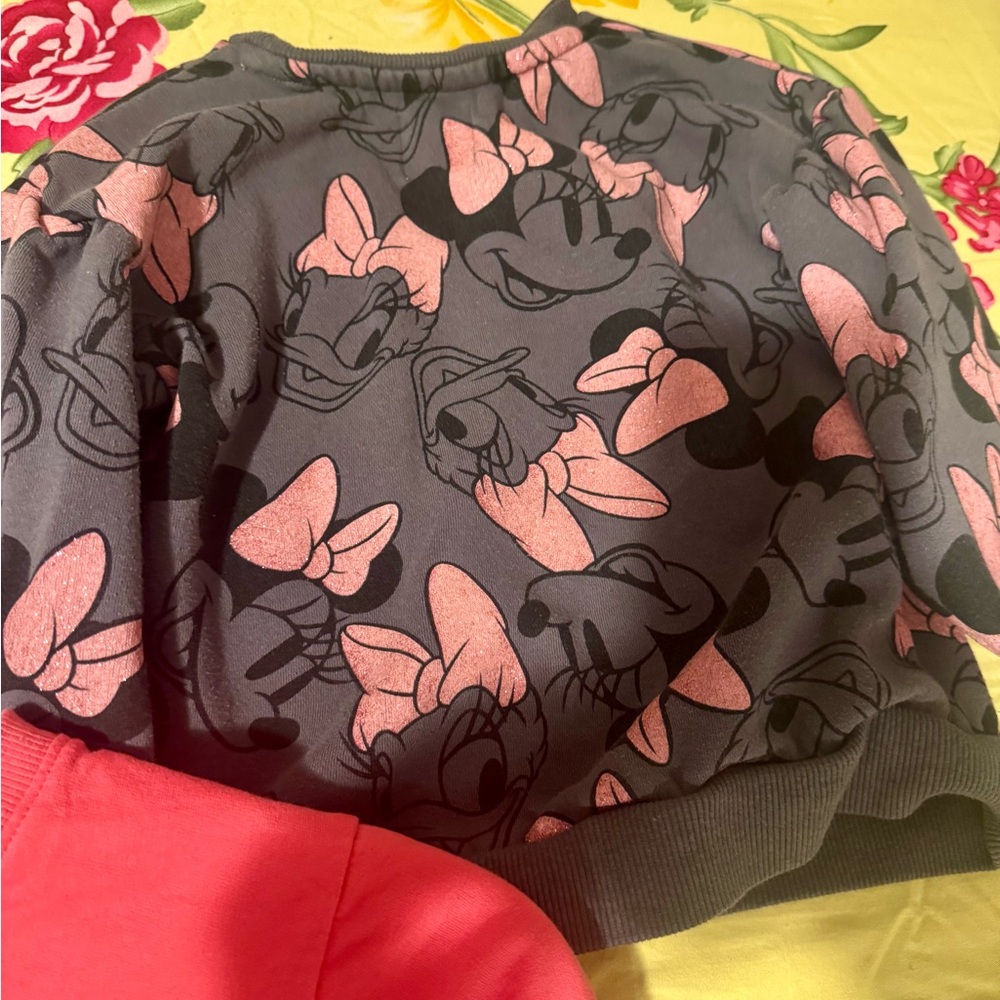 Gray and Pink Disney Character Sweatshirt